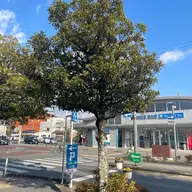 同定待ち