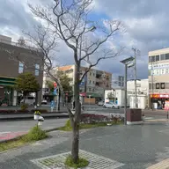 同定待ち
