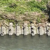 同定待ち