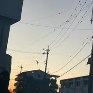 同定待ち